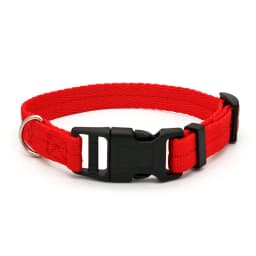 Nylon Webbing Dog Collar Fashion Buckle Pet Collar for Small Medium Dogs Chihuahua Dog Red Black Blue Orange Pet Accessory