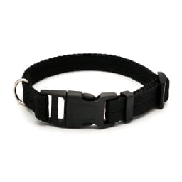 Nylon Webbing Dog Collar Fashion Buckle Pet Collar for Small Medium Dogs Chihuahua Dog Red Black Blue Orange Pet Accessory
