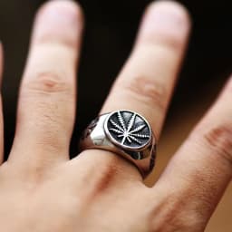 BEIER vintage leaf stainless steel signet maple design ring fashion unique Goros Takahashi Feather Jewelry BR8-379