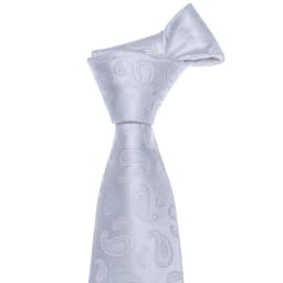 Fashion White Mens Wedding Tie Hanky Set Barry.Wang Designer Paisley Beige Floral Neckties For Male Gift Party Groom silk Office