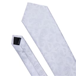 Fashion White Mens Wedding Tie Hanky Set Barry.Wang Designer Paisley Beige Floral Neckties For Male Gift Party Groom silk Office