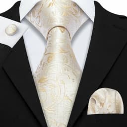 Fashion White Mens Wedding Tie Hanky Set Barry.Wang Designer Paisley Beige Floral Neckties For Male Gift Party Groom silk Office