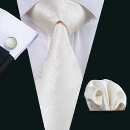 Fashion White Mens Wedding Tie Hanky Set Barry.Wang Designer Paisley Beige Floral Neckties For Male Gift Party Groom silk Office