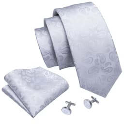 Fashion White Mens Wedding Tie Hanky Set Barry.Wang Designer Paisley Beige Floral Neckties For Male Gift Party Groom silk Office
