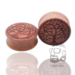 2pcs Wood Flesh Ear Plugs Tunnels Ear Piercings Earlets Saddle Woodern Earring Expander Gauge Double Flare Body Jewelry Piercing