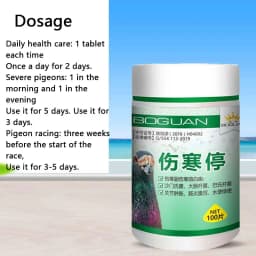 Pigeon typhoid fever stop Salmonella water green stool joint swelling enteritis yellow white stool diarrhea turning head
