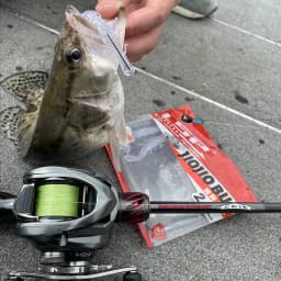 LSP 8Pcs/Bag 2.5 Inch Floating Soft Shrimp Soft Crawfish Bait Floating NED Rig Drop Shot Shrimp Lure with Fish Attractant