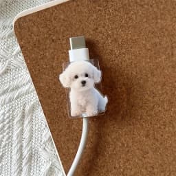2D Flat 2pcs Cute White Dog Stylish Data Cable Protector Playful Design Connector Cover For iPhone / Type-C Charging Interface