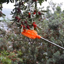 1Pc High-altitude Plastic Fruit Picking Tool Garden Orchard Field Basket Fruit Picker Head Apple Pear Peach Lemon Fruits Picking