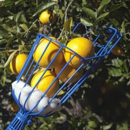 Deep Basket Fruit Picker Head Convenient Fruit Picker Catcher Apple Peach Picking Farm Garden Picking Device Garden Tools