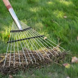 Adjustable Fan-Shape Lawn Rake Head 3.0mm Thickened Steel Tines for Leaf  Debris Collection