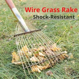 Adjustable Fan-Shape Lawn Rake Head 3.0mm Thickened Steel Tines for Leaf  Debris Collection