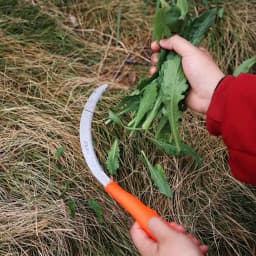 Stainless Steel Weeding Sickle With Wooden Handle Sickle Scythe Farming Tool Kit With Teeth For Weed Removal Lawn Patio Terrace