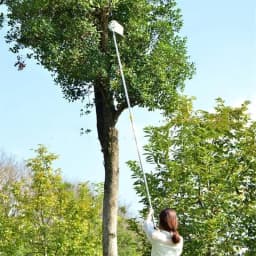 Farm Fruit Picker Garden Orchard Peach Apple Tall Tree Picker Metal Picker Collection Bag Autumn Harvest Convenience Tool