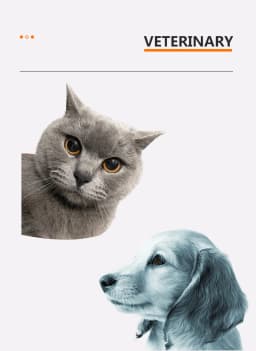 Pet Vet Veterinary Dog Cat Horse Eye Check Cataract Cornea Eyelid Sclera Iris Slitlamp Portable Handheld Slit Lamp Magnifier