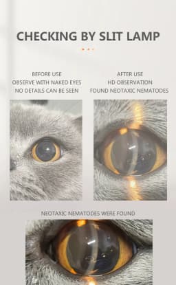 Pet Vet Veterinary Dog Cat Horse Eye Check Cataract Cornea Eyelid Sclera Iris Slitlamp Portable Handheld Slit Lamp Magnifier