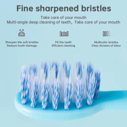 Tongwode Sonic Electric Toothbrush IPX7 Waterproof Adult Couple Home Use Soft Bristle Replaceable With 6 Tooth Brush Heads