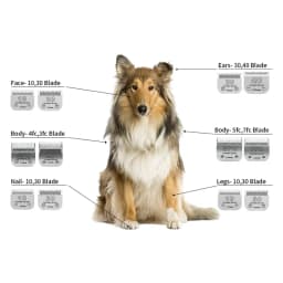 Pet Dog Animals Grooming Detachable Blade Compatible with Oster A5, Classic 76,Star-Teq,Power-Te,Powerline,Outlaw .....Clippers