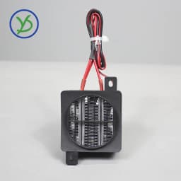 PTC Heater 12V 24V 48V 110V 220V Ceramic Thermostatic Insulated Heater With Fan Pet Insulation Incubator PTC Electric Heater Car