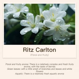 Hotel Room Fragrance Diffuser for Home Air Freshener Scenting Device Air Purifier Humidifier Car Essential Oil Refil 100ML 500ML