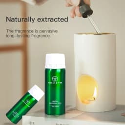 Hotel Room Fragrance Diffuser for Home Air Freshener Scenting Device Air Purifier Humidifier Car Essential Oil Refil 100ML 500ML