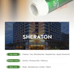 Hotel Room Fragrance Diffuser for Home Air Freshener Scenting Device Air Purifier Humidifier Car Essential Oil Refil 100ML 500ML