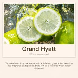 Hotel Room Fragrance Diffuser for Home Air Freshener Scenting Device Air Purifier Humidifier Car Essential Oil Refil 100ML 500ML
