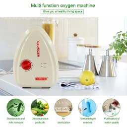 Multifuctional 400mg/H Ozone Generator Water Ozone Fruit and Vegetable Washer Water Air Sterilizer Ozonizer