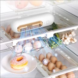 2 in 1 Rechargeable Fridge Deodorizer & Air Purifier Ozone Ion Sterilizer Extend Food Life Remove Odors for Car Home Closet