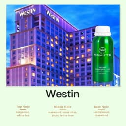 Home Air Freshener Riyadh Warehouse Namste 100/500ML Aromatic Oil Hotels Perfume Aroma Diffuser Ritz Carlton Hilton Shangri La