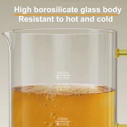 0.6L Electric Kettle Multifunction Appointment Teapot Temperature Control Health Pot Office Glass Flower Teapot Auto Keep Warm
