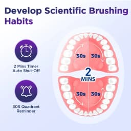 New Rotating Electric Toothbrush,5 Modes Rechargeable Timing Electric Toothbrush,Home Cleaning Teeth,4 Replaceable Brush Heads