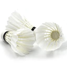 12PCS Badminton Shuttlecocks White High Speed Duck Feather Badminton Ball for Game Training Sport Practice for Adults, Teens