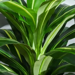 Outsunny 110cm/3.6FT Artificial Dracaena Plant Fake Tree Potted Home Office