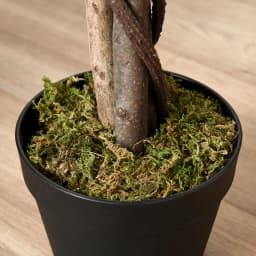 Outsunny 160cm/5.2FT Artificial Ficus Tree Fake Plant in Pot Indoor Outdoor