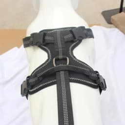 Knee Brace For Dogs Back Leg Adjustable Dogs Rear Leg Wrap Dogs Back Leg Wrap Canine Care CCL Support Brace For Medium And Large