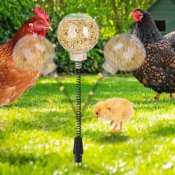 2pcs Chicken Swing Feeder Chicken Coop Pecking Toy Funny Hens Feeding Supplies Poultry Treat Dispenser for Boredom Busting