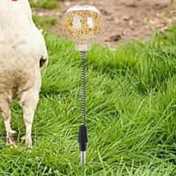 2pcs Chicken Swing Feeder Chicken Coop Pecking Toy Funny Hens Feeding Supplies Poultry Treat Dispenser for Boredom Busting