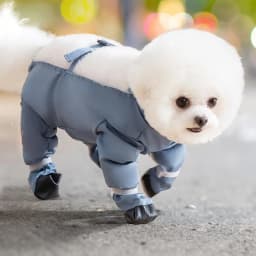 Waterproof Dog Boots With Suspenders Adjustable Anti-Fall Dog Pet Boots Dirty-Proof Pet Shoes For French Bulldog Poodle