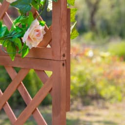 Garden Wooden Pine Trough Planter W/ Topped Trellis Climbing Plants, Orange