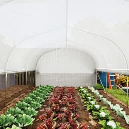 6 X 3 X 2m Polytunnel Greenhouse Garden Tunnel with Roll-Up Sidewalls, Mesh Door