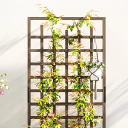 Wooden Trellis Planter, Raised Garden Bed with Wheels and Bed Liner
