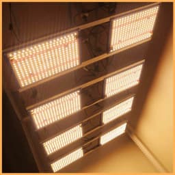 Qkwin QBS 120W 240W LED Grow Light Panel Full Spectrum Sam-sung LM301B 2.9Umol/J Bead DIY with Red Light On/Off Switch