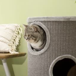PawHut Cat Barrel Kitten Tree Tower for Indoor Cats, Cat Climbing Frame, Covered in Sisal, Cosy Platform - Light Grey