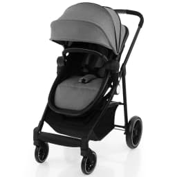 DORTALA 2 in 1 Baby Stroller Foldable Pushchair Reversible Seat With Adjustable Canopy