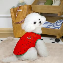 Dog Summer Clothes Pet Summer Clothes Soft Breathable Dog Cat Shirt Cute Watermelon Pineapple Outfit Clothes For Small To Large