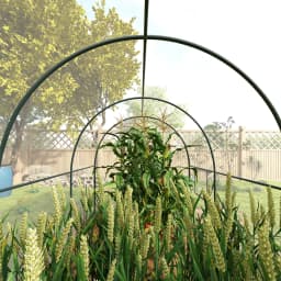 Polytunnel Greenhouse with Clear Cover, Walk-In Grow House, 3 X 2 X 2m