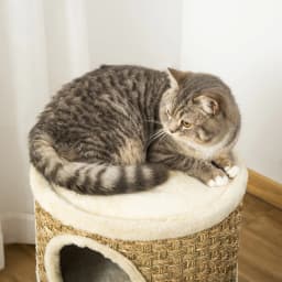PawHut Cat Scratching Barrel Kitten Tree Climbing Frame Covered with Sisal and Seaweed Rope Cozy Platform Soft Plush