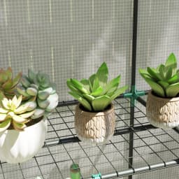 3 Tier Lean-To Mini Greenhouse with Green Hemmed Edging, White