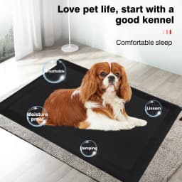 Elevated Breathable Dog Bed Pet Bed Dog Cat Folding Pet Elevated Camping Pet Bed 15/25/35kg Max Capacity